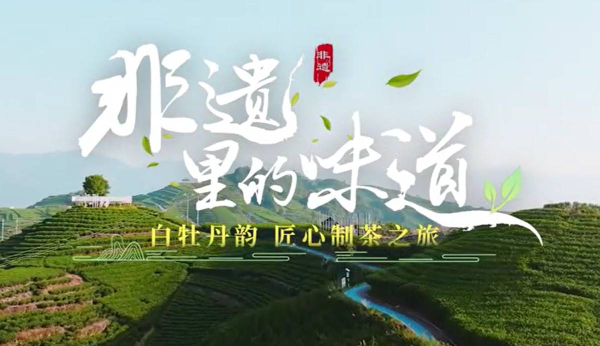 《非遗里的中国年》好茶在中茶，为民奉好茶